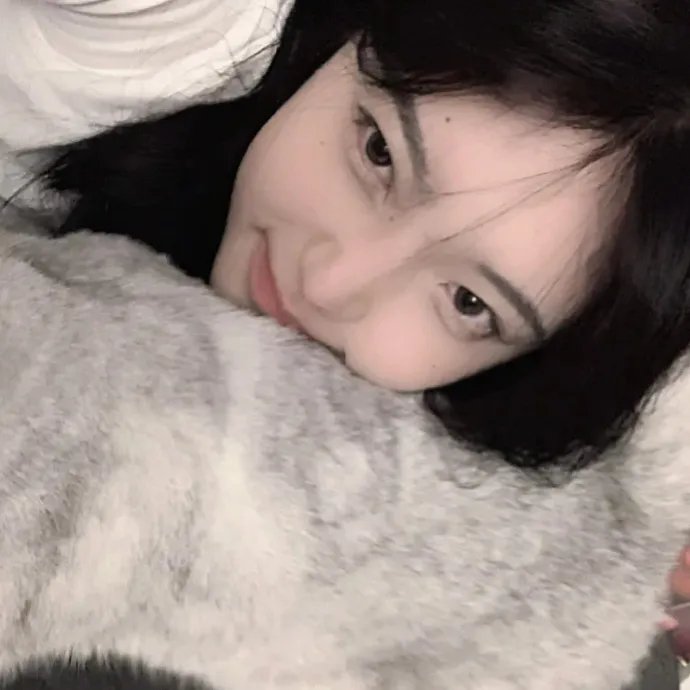 木更津猫眼 日本系列